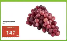 Dino Winogrono ciemne oferta