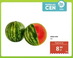 Dino Arbuz mini oferta