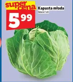 Topaz Kapusta młoda oferta