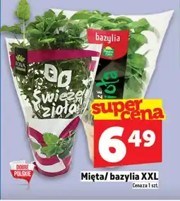 Topaz Bazylia Na dobre oferta