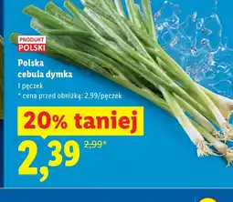 Lidl Cebula dymka Polski oferta