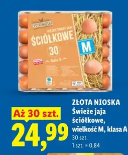 Lidl Jaja Złota nioska oferta
