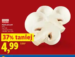 Lidl Pieczarki Polski oferta