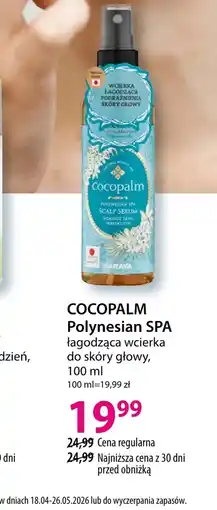 Hebe Wcierka do skóry głowy Cocopalm oferta