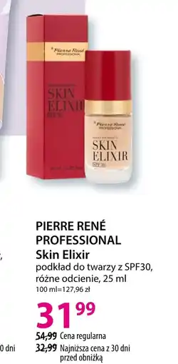 Hebe Podkład do twarzy Pierre Rene oferta