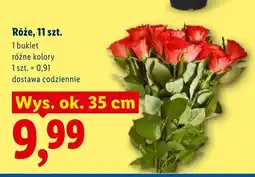 Lidl Róże bukiet różne kolory oferta