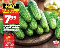 Topaz Ogórek gruntowy oferta