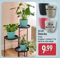 ALDI Doniczka do wyboru: o średnicy 17 cm lub 20 cm oferta