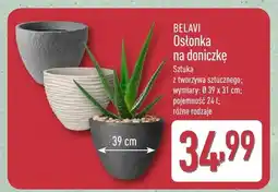 ALDI Osłonka na doniczkę oferta