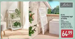 ALDI 3-poziomowy regał na rośliny oferta