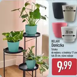 ALDI Doniczka BELAVI oferta