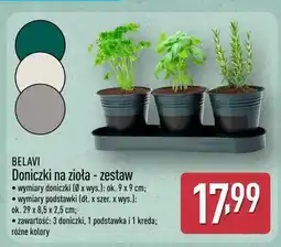ALDI BELAVI Doniczki na zioła - zestaw oferta