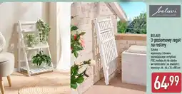 ALDI BELAVI 3-poziomowy regał na rośliny oferta