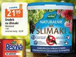 E.Leclerc Środek na ślimaki oferta