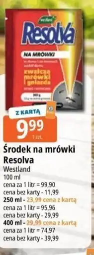E.Leclerc Środek na mrówki oferta