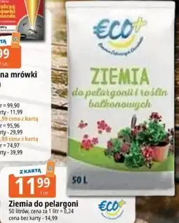 E.Leclerc Ziemia do pelargonii oferta