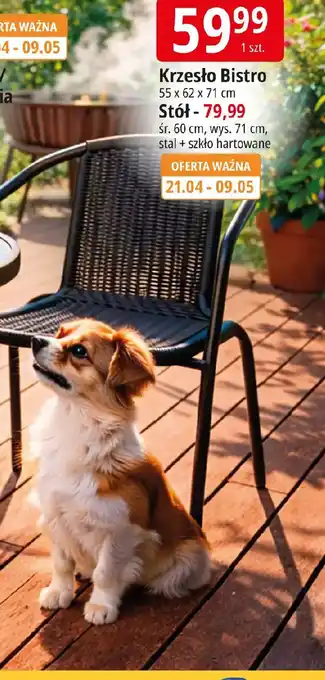 Krzesło Bistro