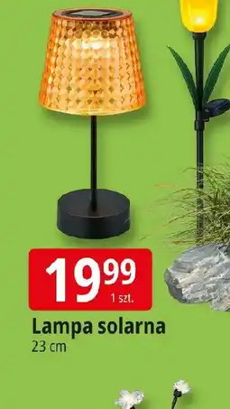 E.Leclerc Lampa solarna oferta