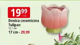 E.Leclerc Donica ceramiczna Tulipan oferta