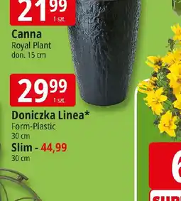 E.Leclerc Doniczka Linea oferta