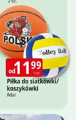 E.Leclerc Piłka do siatkwki/koszykwki oferta