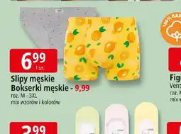 E.Leclerc Slipy mskie oferta