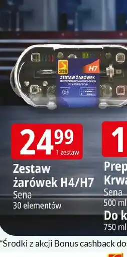 E.Leclerc Zestaw arwek H4/H7 oferta