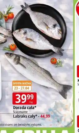 E.Leclerc Dorada cała oferta
