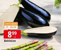 E.Leclerc Bakłaan oferta
