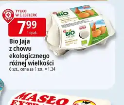 E.Leclerc Bio Jaja z chowu ekologicznego oferta