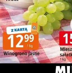 E.Leclerc Winogrono jasne oferta