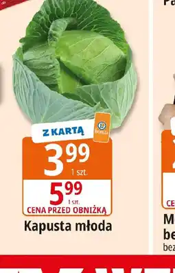 E.Leclerc Kapusta młoda oferta