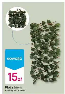 Pepco Płot z liśćmi oferta