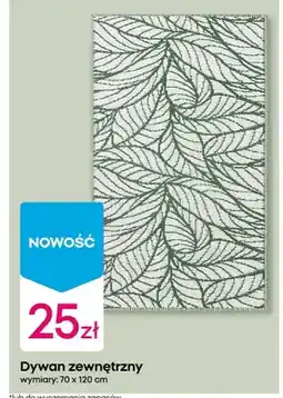 Pepco Dywan zewnętrzny 70 x 120 cm oferta