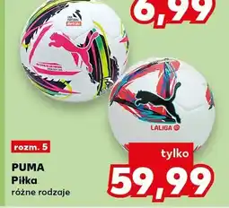 Kaufland Piłka różne rodzaje oferta