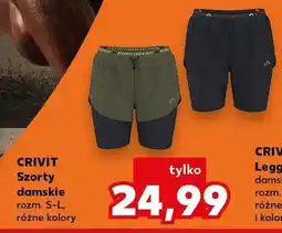 Kaufland Szorty damskie oferta