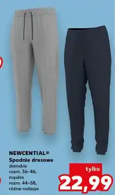 Kaufland Spodnie dresowe damskie oferta