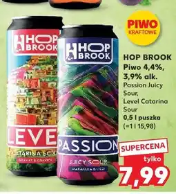 Kaufland Piwo Hop Brook Passion Juicy Sour Level Catarina Sour oferta