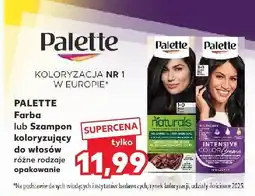 Kaufland Farba lub szampon koloryzujący do włosów różne rodzaje oferta