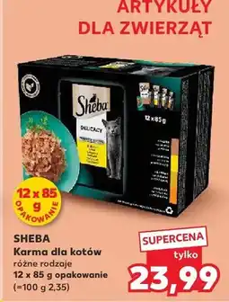 Kaufland Karma dla kotów różne rodzaje oferta