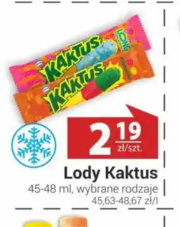 Nasz Sklep Lody Kaktus oferta