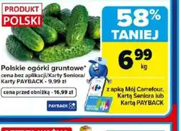 Carrefour Polskie ogórki gruntowe oferta