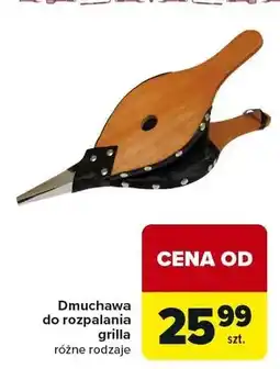 Carrefour Dmuchawa do rozpalania grilla oferta