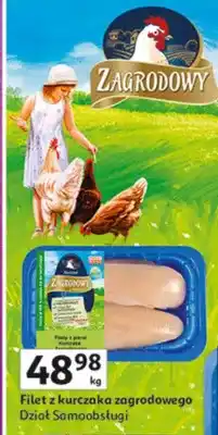 Auchan Filet z kurczaka zagrodowego Dział Samoobsługi oferta