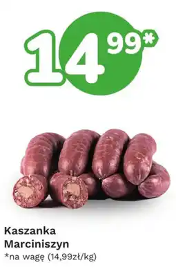 Limonka Kaszanka Marciniszyn oferta