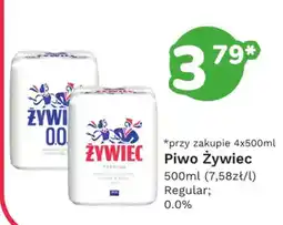 Limonka Piwo Żywiec oferta
