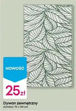 Pepco Dywan zewnętrzny oferta