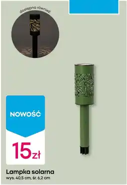 Pepco Lampka solarna oferta