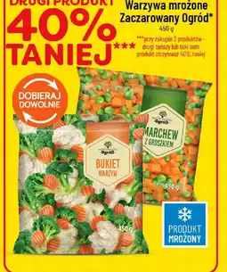 Polomarket Zaczarowany Ogród Warzywa oferta