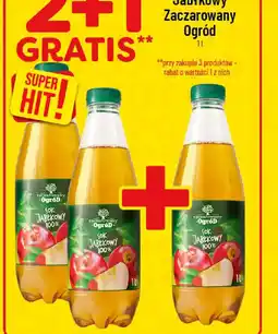 Polomarket Zaczarowany Ogród Sok 100% Jabłkowy oferta